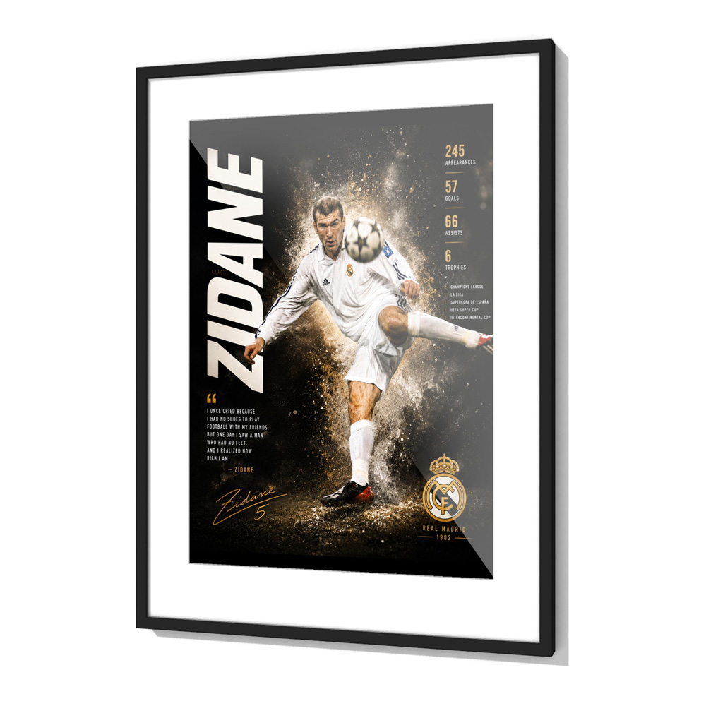 Framed Print